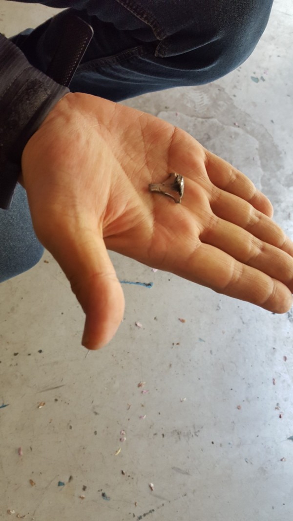 thumb