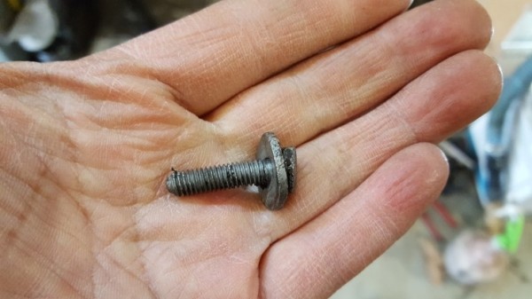 thumb
